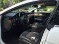Mercedes-Benz CLS 250 CLS Berlina - C218 2011 cdi be auto Bianco - thumbnail 5