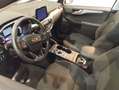 Ford Kuga 3ª serie 1.5 EcoBlue 120 CV aut. 2WD Titanium Busi Bianco - thumbnail 10