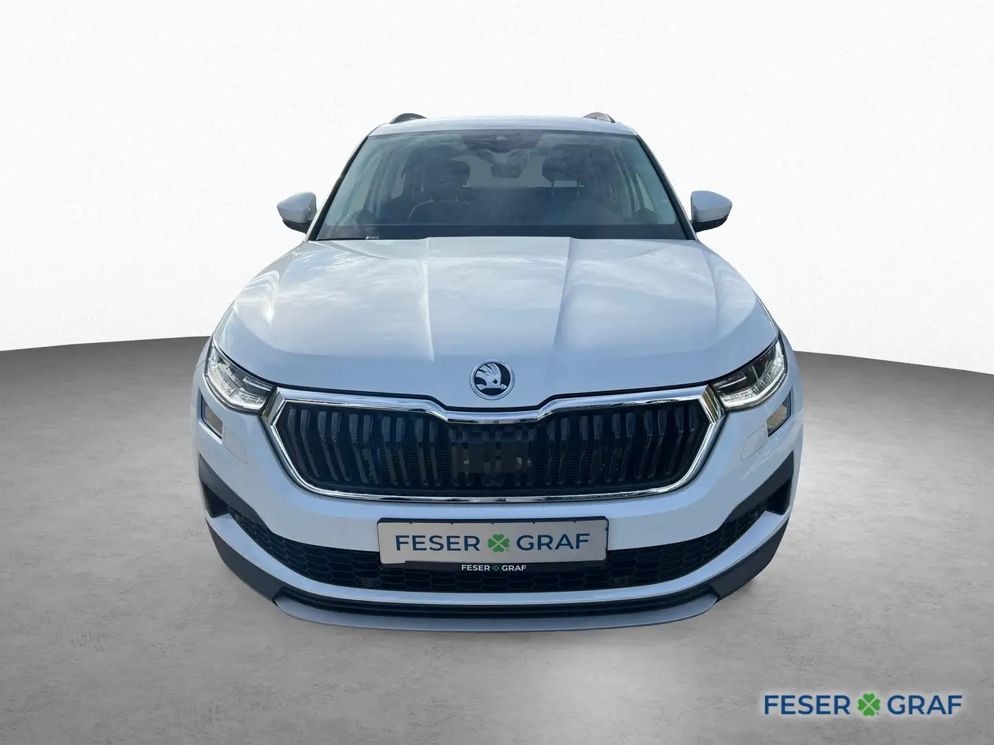 Skoda Kodiaq TOUR 2.0TDI DSG KAMERA,MATRIX,NAVI,AHK,LANE AS Blanco - 2