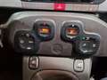 Fiat Panda Cross 1.3 MJT 95 CV S&S 4x4 NEOPATENTATI Vert - thumbnail 19