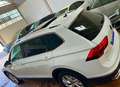 Volkswagen Tiguan 2.0 TDI 150 CV DSG TETTO PANORAMICO Weiß - thumbnail 16