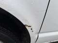 Volkswagen T6 Transporter Kasten-Kombi Kasten Weiß - thumbnail 4