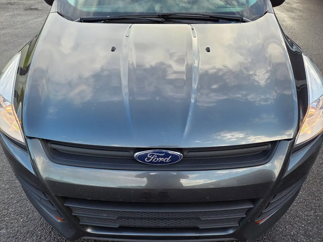 Ford Escape fotografie Ford Escape