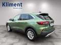 Ford Kuga 2,5 Duratec FHEV Titanium Aut. Grün - thumbnail 3