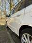Ford S-Max Weiß - thumbnail 13