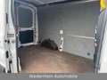 Ford Transit Kasten 350 L2 Tüv & AU Neu Weiß - thumbnail 12