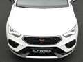 CUPRA Ateca 2.0 TSI 4Drive DSG *NAVI*LED*R-KAM*19''* Weiß - thumbnail 22