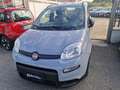 Fiat Panda 2022 1.0 firefly hybrid s NEOPATENTATI Grigio - thumbnail 5