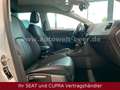 SEAT Leon ST Style 1.6 TDI 115 PS DSG NAVI Weiß - thumbnail 12