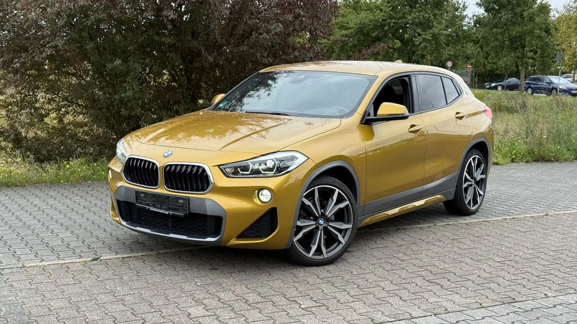 BMW X2 xDrive 20 d M Sport X*ACC*HEADUP*20"ALU*LED* Gold - 1