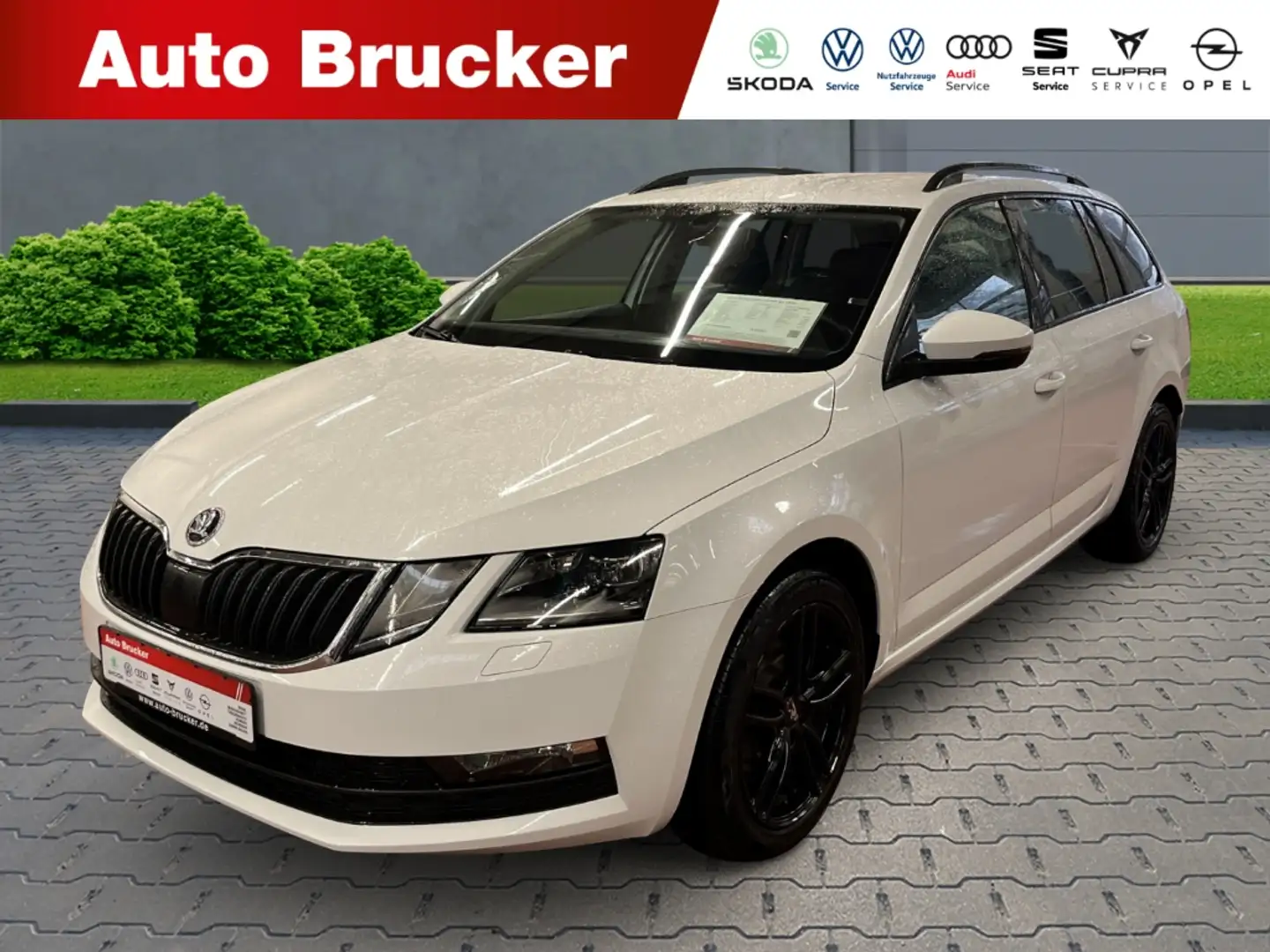 Skoda Octavia Combi Ambition 4x4 2.0 TDI+Navi+Parksensoren+LED Weiß - 1