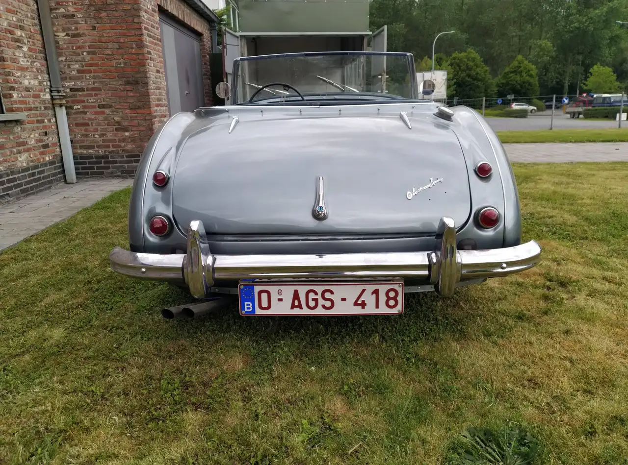Austin-Healey 3000, foto 4