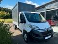 Citroen Jumper 35 Heavy 165 Pritsche+Plane Wit - thumbnail 6