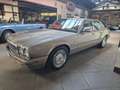 Daimler Double Six Beige - thumbnail 2