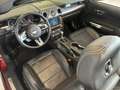 Ford Mustang Mustang Convertible V8 5.0 BVA10 GT Rot - thumbnail 33