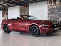 Ford Mustang Mustang Convertible V8 5.0 BVA10 GT Rot - thumbnail 12
