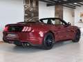 Ford Mustang Mustang Convertible V8 5.0 BVA10 GT Rot - thumbnail 14