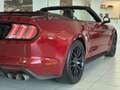 Ford Mustang Mustang Convertible V8 5.0 BVA10 GT Rot - thumbnail 17