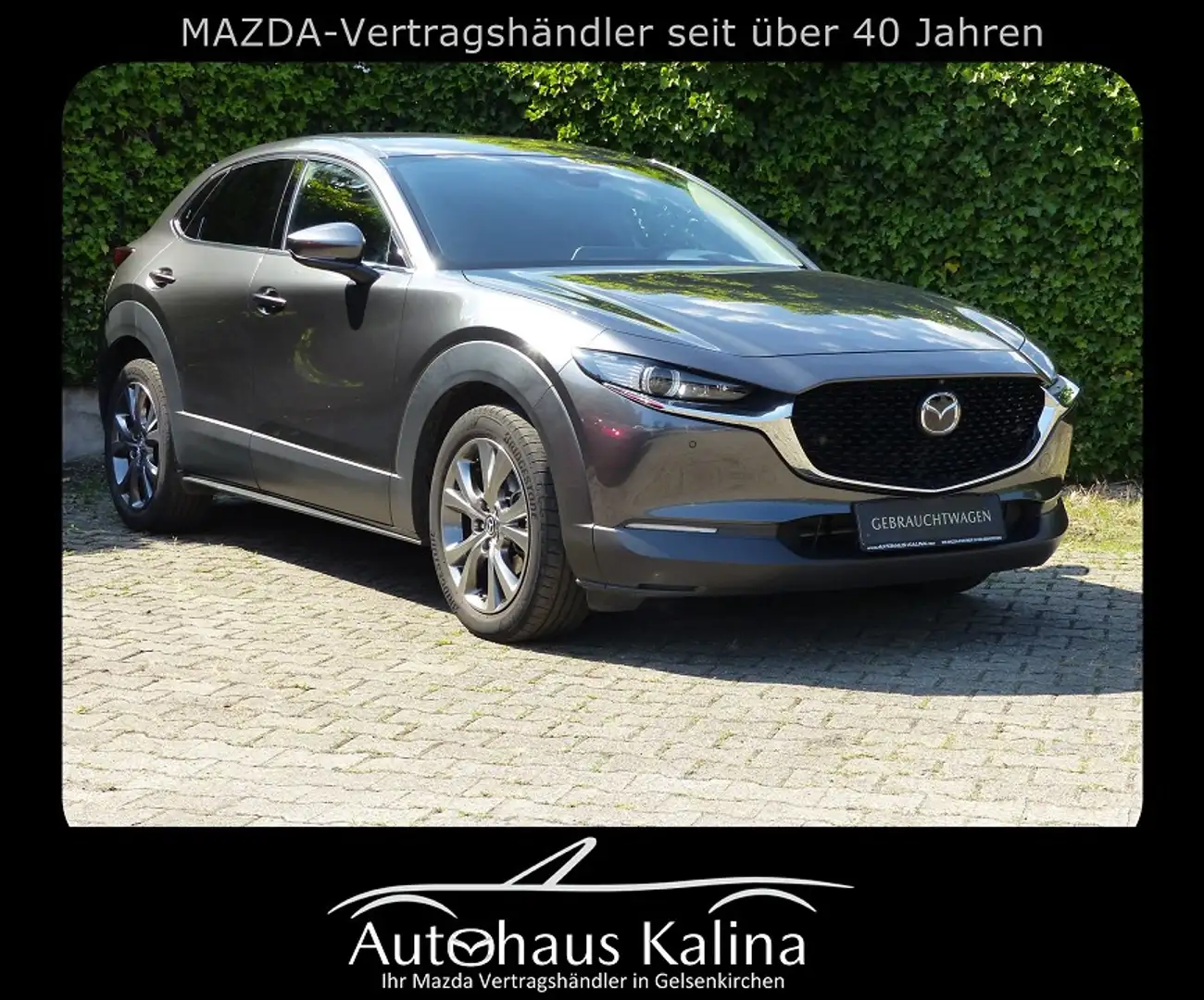 Mazda CX-30 SKYACTIV-X 179PS Automatik SELECTION + Design-Pake Grau - 1
