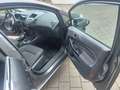 Ford Fiesta Titanium Gris - thumbnail 21