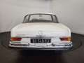 Mercedes-Benz 280 SEC Blanc - thumbnail 12