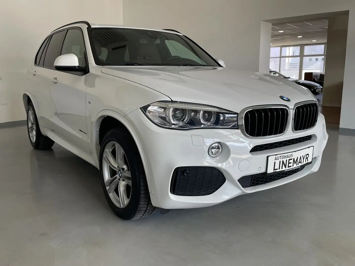 BMW X5 xDrive   Aut.  M-Paket, Leder, Navi, LED Wit - 2