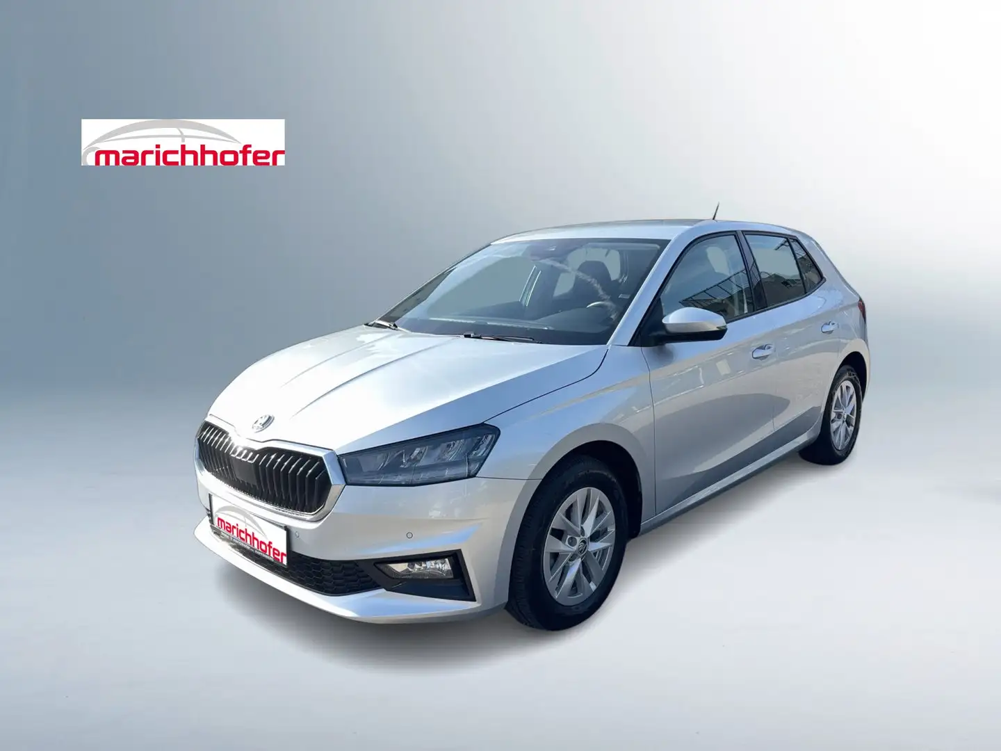 Skoda Fabia Selection TSI Silber - 1