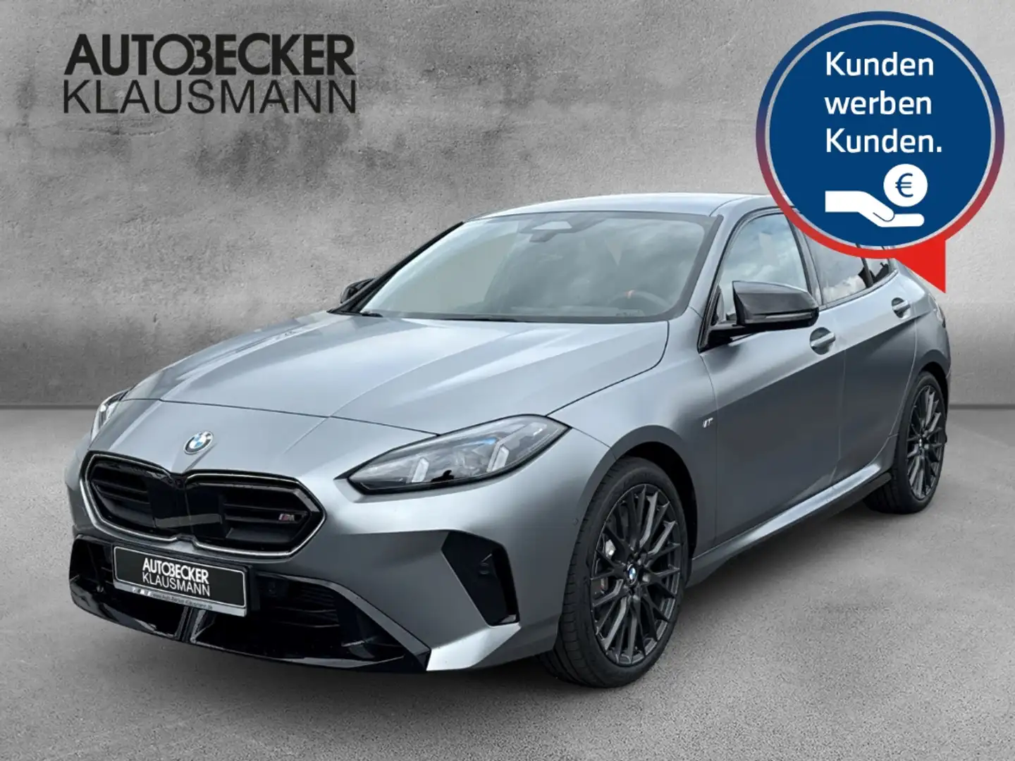 BMW 135 xDrive LMR 19'' Park-Assistent HUD AD Navi Digital Grau - 1