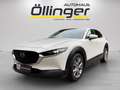 Mazda CX-30 G122 Comfort+/ST Aut. Blanc - thumbnail 1