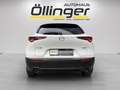Mazda CX-30 G122 Comfort+/ST Aut. Blanc - thumbnail 4
