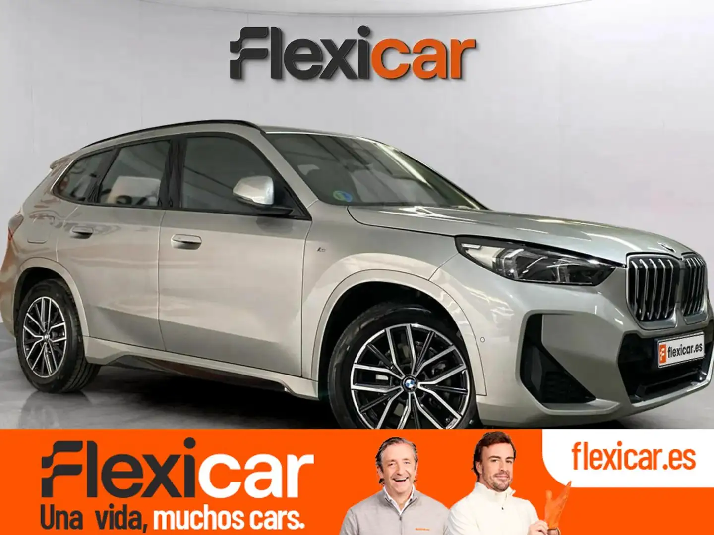 BMW X1 xDrive20d Gris - 1