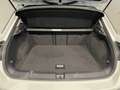 Volkswagen T-Roc 2.0TDI 150CV Advanced - IVA ESPOSTA Bianco - thumbnail 11