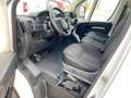 Peugeot Boxer Kasten 333 L2H2 Premium Klima Kam Bluetoth Blanc - thumbnail 5
