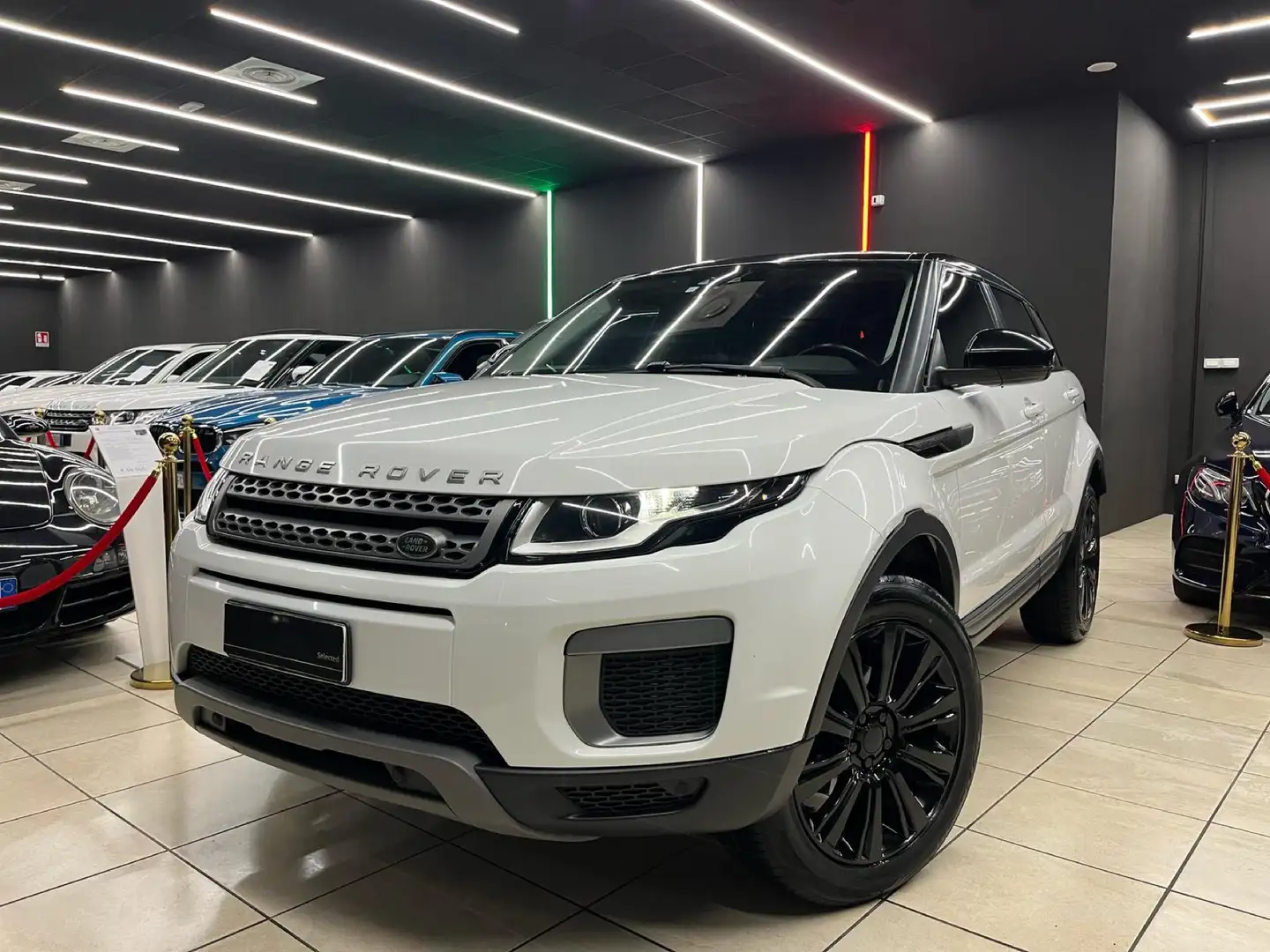Land Rover Range Rover Evoque 5p 2.0 td4 SE 150cv Bianco - 1