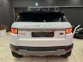 Land Rover Range Rover Evoque 5p 2.0 td4 SE 150cv Bianco - thumbnail 5