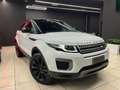 Land Rover Range Rover Evoque 5p 2.0 td4 SE 150cv Bianco - thumbnail 3