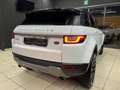 Land Rover Range Rover Evoque 5p 2.0 td4 SE 150cv Bianco - thumbnail 6