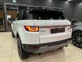Land Rover Range Rover Evoque 5p 2.0 td4 SE 150cv Bianco - thumbnail 4
