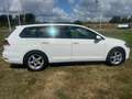 Volkswagen Golf Break 1.0 Tsi / Garantie 12m. Blanc - thumbnail 6