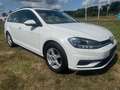 Volkswagen Golf Break 1.0 Tsi / Garantie 12m. Blanc - thumbnail 7