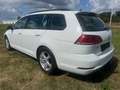 Volkswagen Golf Break 1.0 Tsi / Garantie 12m. Blanc - thumbnail 3