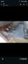Renault Trafic 1.6 TDCI 140HP Brown - thumbnail 7