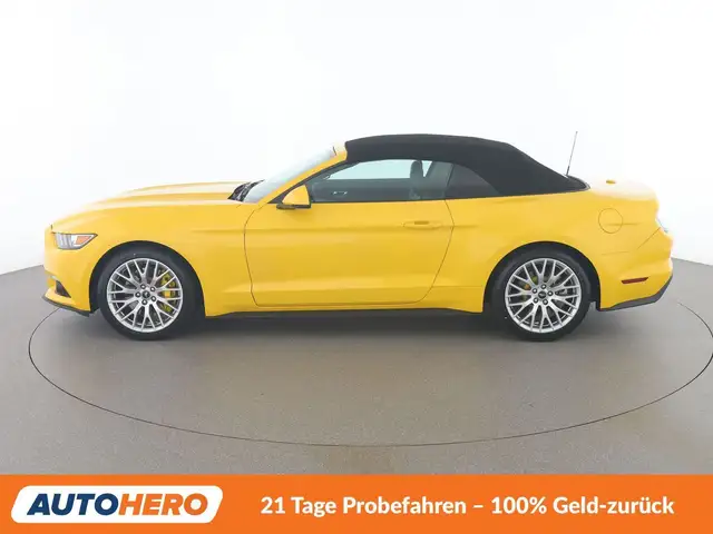 Ford Mustang view 3
