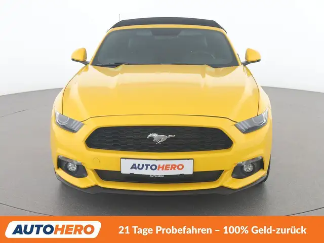 Ford Mustang view 9