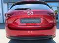 Mazda CX-5 AWD SKYACTIV-D 184*Wartungen lückenlos*2. Hand* Sp Rot - thumbnail 8