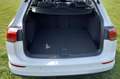 Volkswagen Golf Variant Golf Variant 1.5 TSI OPF Life Weiß - thumbnail 9
