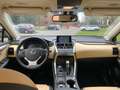 Lexus NX 300h 300h 2.5 Luxury 4wd cvt Nero - thumbnail 5