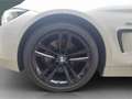 BMW 428 Gran Coupe Navi Xenon Kamera SHZ 8-Fach bereift Weiß - thumbnail 22