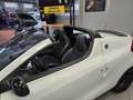 Renault Wind Wind Coupe Cabrio 1.2 tce Wave Edition 100cv Wit - thumbnail 11