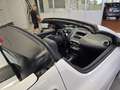 Renault Wind Wind Coupe Cabrio 1.2 tce Wave Edition 100cv Wit - thumbnail 17